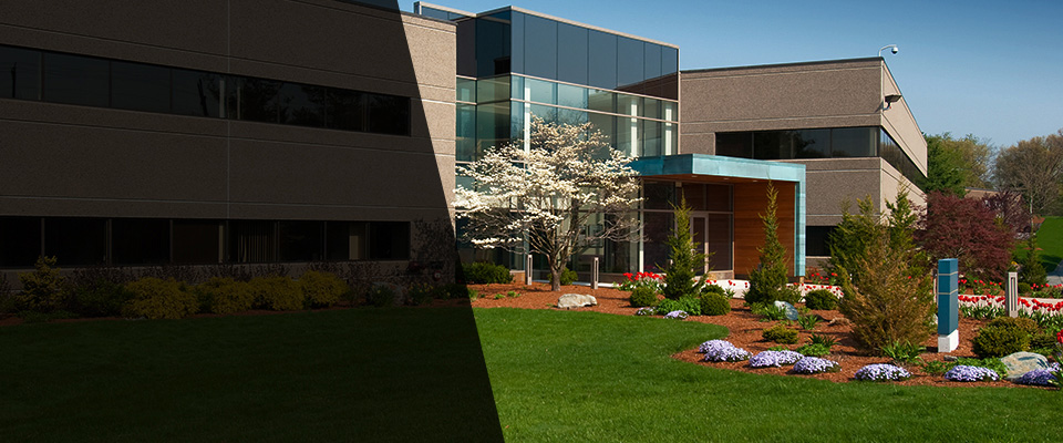 Portland Landscapers